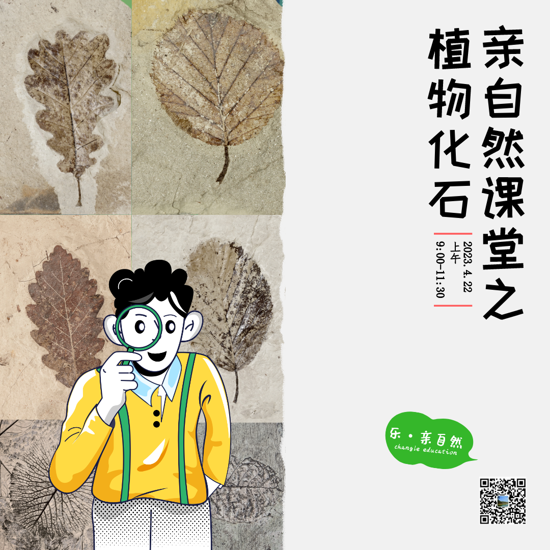 第二課堂 | “植物(wù)化石”初體(tǐ)驗，觸摸自然之美